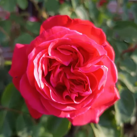 Cozy In Near Hildesheim *